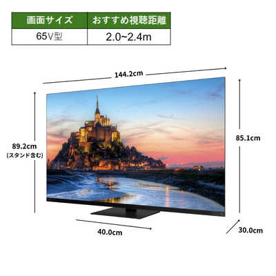 TVS REGZA 有機ELテレビ REGZA レグザ X9900R 65V型 4K対応 4K