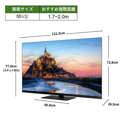 TVS REGZA 有機ELテレビ REGZA レグザ X9900R series [ 55V型 / 4K