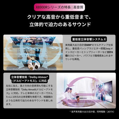TVS REGZA 有機ELテレビ REGZA レグザ ［ 48V型 / Bluetooth対応