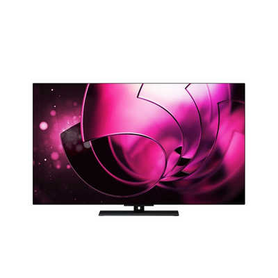 TVS REGZA 有機ELテレビ REGZA レグザ ［ 48V型 / Bluetooth対応