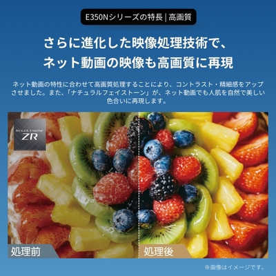 TVS REGZA 液晶テレビ REGZA レグザ E350Nシリーズ [ 85V型 / 4K