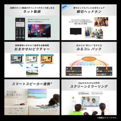 TVS REGZA 液晶テレビ REGZA(レグザ) ［ 65V型 / Bluetooth対応 / 4K