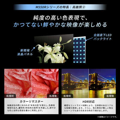 TVS REGZA 液晶テレビ REGZA(レグザ) ［ 50V型 / Bluetooth対応 / 4K