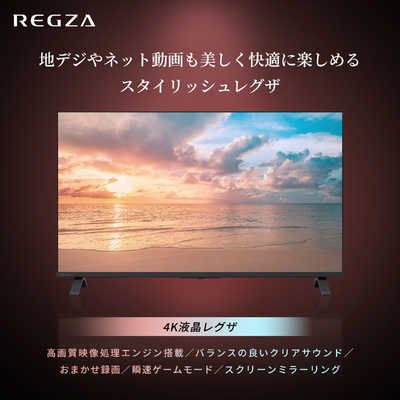 TVS REGZA 液晶テレビ REGZA(レグザ) ［55V型 / Bluetooth対応 / BS