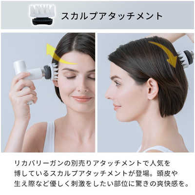 ドクターエア REG-04エクサガンハイパー用プレミアム ドクターエア REG-04エクサガンハイパー用プレミアム