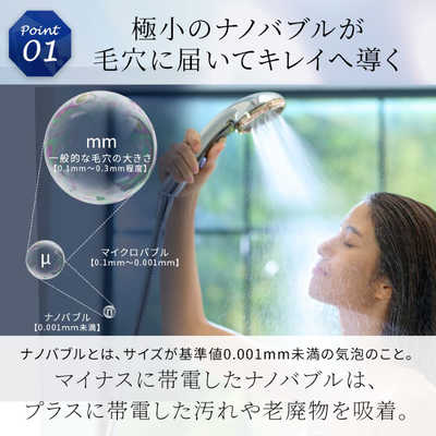 DOCTOR AIR シャワーヘッドBSH-01 SV 塩素除去カードリッチ DOCTOR AIR シャワーヘッドBSH-01 SV 塩素除去カードリッチ