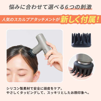 ドクターエア エクサガン ラグゼ EXAGUN LUXE シルキーアイボリー REG