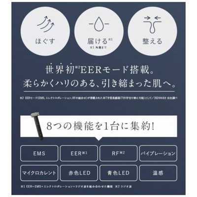 アンファー ディズム EMS EER メディスキンケアデバイス BOT2310