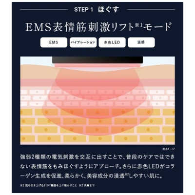 アンファー ディズム EMS EER メディスキンケアデバイス BOT2310