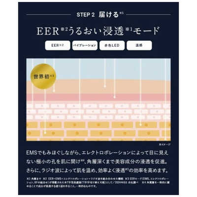 アンファー ディズム EMS EER メディスキンケアデバイス BOT2310