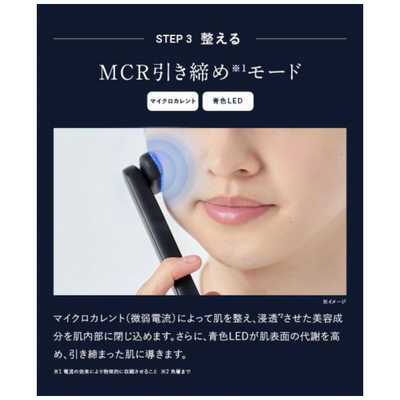 アンファー ディズム EMS EER メディスキンケアデバイス BOT2310
