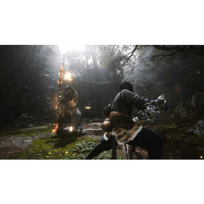 黒神話：悟空 PS5【中古】 ps5 黒神話 悟空 BLACK MYTH WUKONG PS5ソフト PlayStation5