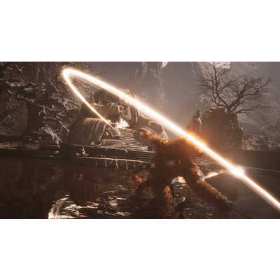 GAMESCIENCE PS5ゲームソフト 黒神話：悟空 の通販 - カテゴリ