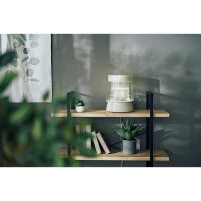 QUADS ハイパワーガラススチーム加湿器 GLASS(グラス) ［スチーム式