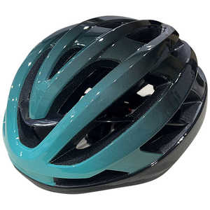 LEAD 自転車用ヘルメット type-N(Lサイズ/ライトグリーン&ブラック) HO-99LGRBKL LG&GR HO99LGRBKL LEAD 自転車用ヘルメット type-N(Lサイズ/ライトグリーン&ブラック) HO-99LGRBKL LG&GR HO99LGRBKL