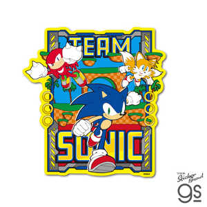 ゼネラルステッカー ダイカットステッカー ソニック TEAM SONIC SONIC-16 ゼネラルステッカー ダイカットステッカー ソニック TEAM SONIC SONIC-16