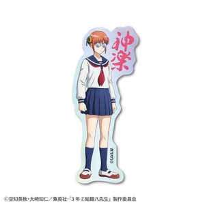 ���ͥ�륹�ƥå��� �ۥ������������åȥ��ƥå��� 3ǯZ�ȶ�Ȭ���� ���� GIN-023