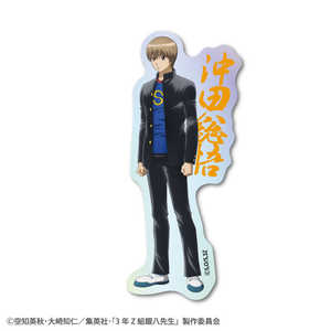 ���ͥ�륹�ƥå��� �ۥ������������åȥ��ƥå��� 3ǯZ�ȶ�Ȭ���� ���� GIN-026