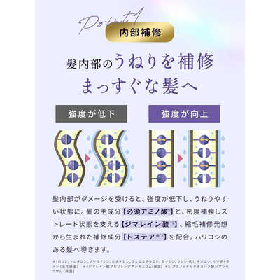 STRAINE ストレインストレートシャンプー＆トリートメント(お試し