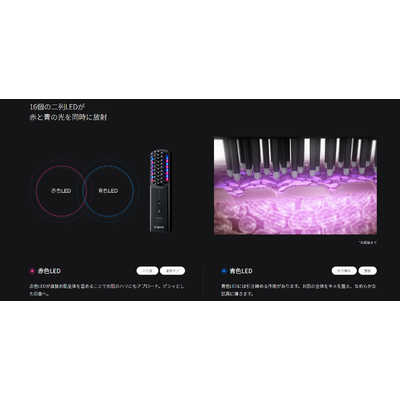 BRIGHTE ブラシ型美顔器 エレキブラシプラス(ELEKI BRUSH) BRT