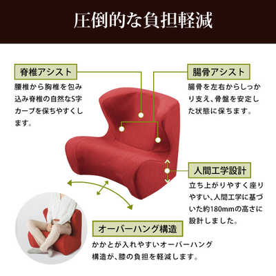 MTG スタイルドクターチェア ｢Style Dr.CHAIR｣ ST-DC2039F-R レッド ST