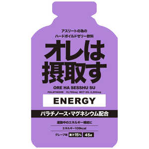 ダイトー水産 オレは摂取す エネルギージェル(45g) グレープ味 311200 ダイトー水産 オレは摂取す エネルギージェル(45g) グレープ味 311200