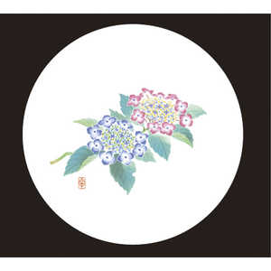 �����ƥå� �������������� ��(50����) WCO-M5N �������� PKCZ001