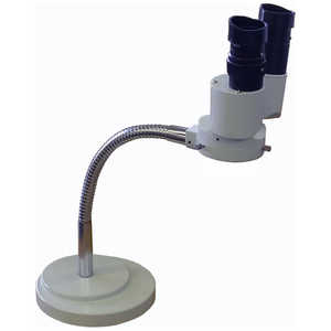 ASt@CWp O[gACǒ GE8000