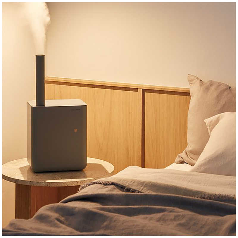 ウィナーズ ウィナーズ UV加湿器 recolte(レコルト) [ハイブリッド(加熱+超音波)式] 木造6畳/鉄筋10畳 グレー RHF-1(GY) RHF-1(GY)