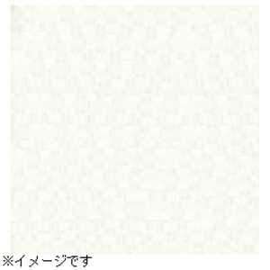 【スーペリア背景紙】(2.72×5.5m) No.93スーパーホワイト BPS2705#93トクスン