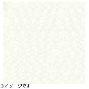【スーペリア背景紙】(2.72×5.5m) No.93スーパーホワイト BPS2705#93トクスン 【スーペリア背景紙】(2.72×5.5m) No.93スーパーホワイト BPS2705#93トクスン