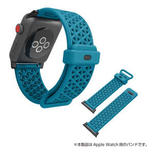 トリニティ Apple Watch 44/42mm 4/3/2/1 バンド グレイシアブルー CT-SBAW1742-GB