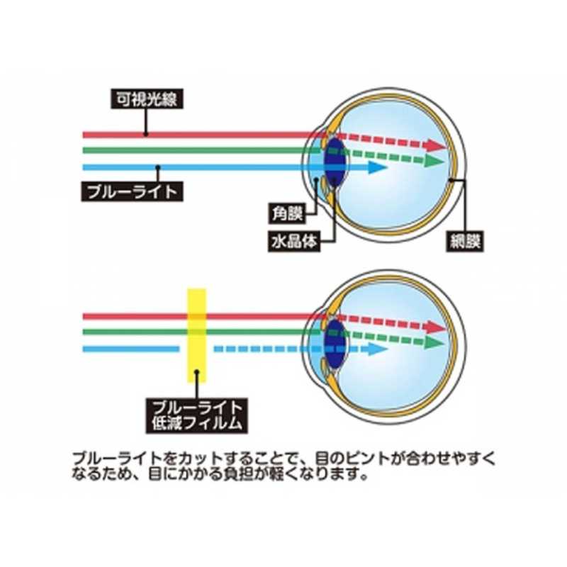 コロンバスサークル コロンバスサークル ブルーライト低減ガラスフィルム Switch用 CC-NSBGF-CL CC-NSBGF-CL