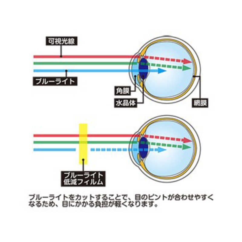 コロンバスサークル コロンバスサークル ブルーライト低減フィルム(Switch Lite用)  