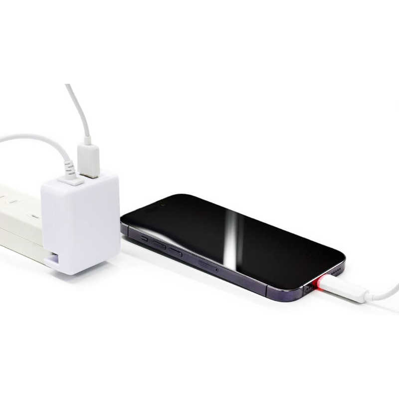 コロンバスサークル コロンバスサークル マルチ充電ACアダプタ V2 ホワイト(Switch/Switch Lite/PS5用コントローラ/PS Vita2000/スマートフォン/他、各機器用)   