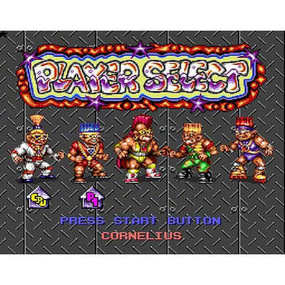 コロンバスサークル ストーンプロテクターズ(SFC/SFC互換機用) CC