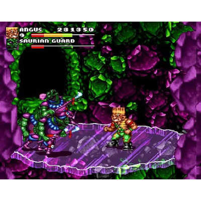 コロンバスサークル ストーンプロテクターズ(SFC/SFC互換機用) CC