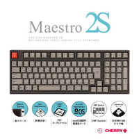 ARCHISS アーキス ゲーミングキーボード CHERRY MX 黒軸 Mestro2S 黒 