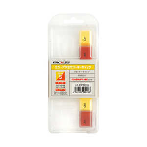 ARCHISS アーキス 交換用 PBTカラーアクセサリーキーキャップ 黄Ctrl/赤Alt 昇華印字 1.5mm厚 ASCKPBS05N ARCHISS アーキス 交換用 PBTカラーアクセサリーキーキャップ 黄Ctrl/赤Alt 昇華印字 1.5mm厚 ASCKPBS05N
