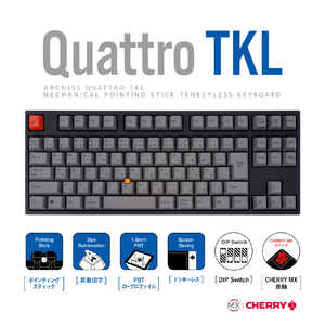 ARCHISS �A�[�L�X �L�[�{�[�h CHERRY MX �Ԏ� �m�L�� /USB�n AS-KBQ91/LRGBA