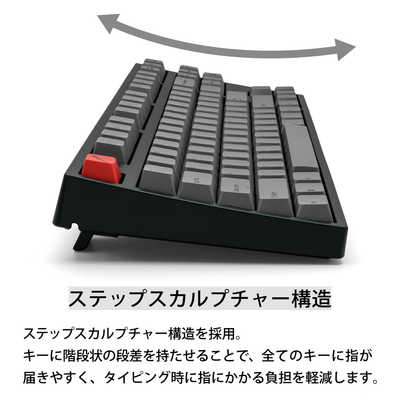 ARCHISS アーキス キーボード Maestro TKL(青軸・英語配列)(Mac