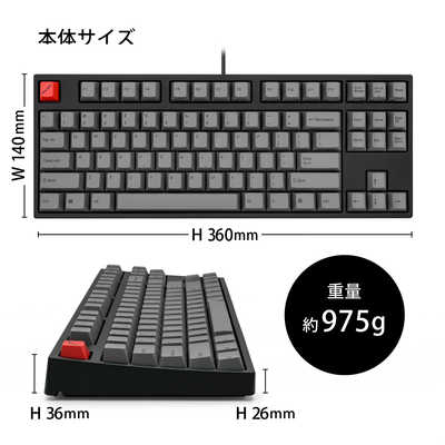 ARCHISS アーキス キーボード Maestro TKL(青軸・英語配列)(Mac