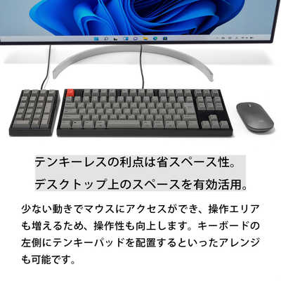 ARCHISS アーキス キーボード Maestro TKL(スピードシルバー軸)(Mac