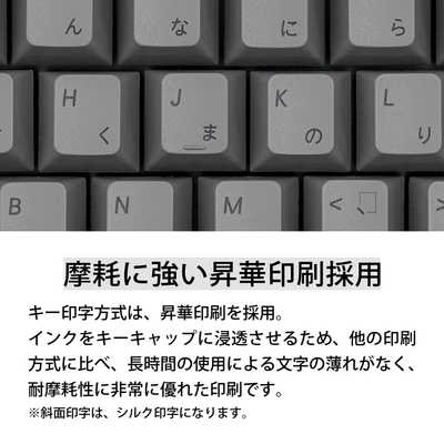 ARCHISS アーキス キーボード Maestro TKL(スピードシルバー軸)(Mac