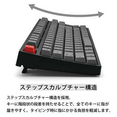 ARCHISS アーキス キーボード Maestro TKL(スピードシルバー軸)(Mac
