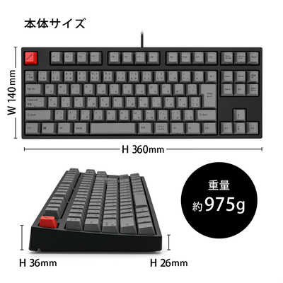 現状販売 ARCHISS Maestro2S スピードシルバー軸 ARCHISS Maestro 2S 日本語配列⁄スピードシルバー軸 清掃済 ARCHISS