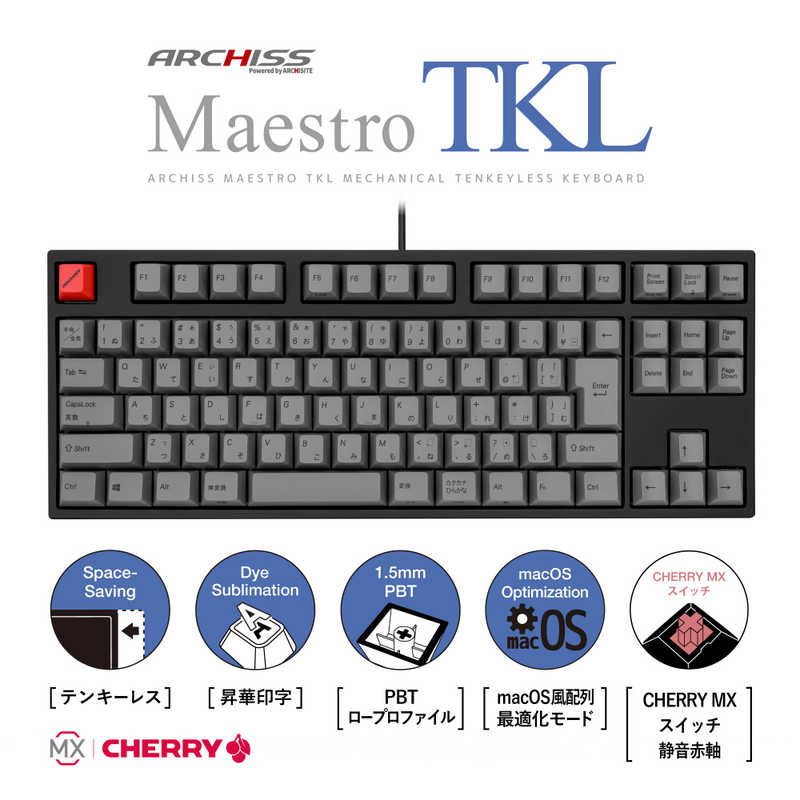 ARCHISS アーキス ARCHISS アーキス Maestro TKL(CHERRY MX 静音赤軸・Windows11  macOS対応) メカニカル テンキーレス 日本語JIS配列 91キー [有線 USB] ASKBM91SRGBA ASKBM91SRGBA
