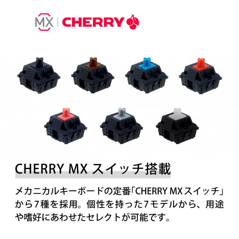 ARCHISS アーキス ARCHISS アーキス Maestro Npad メカニカルテンキーパッド CHERRY MX 赤軸 21キー 黒ボディ・グレーキーキャップ PBT2色成形 [有線 /USB] AS-TKM21/LRGB AS-TKM21/LRGB
