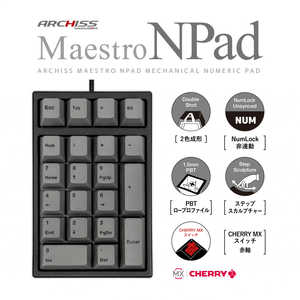 ARCHISS アーキス Maestro Npad メカニカルテンキーパッド CHERRY MX 赤軸 21キー 黒ボディ・グレーキーキャップ PBT2色成形 [有線 /USB] AS-TKM21/LRGB