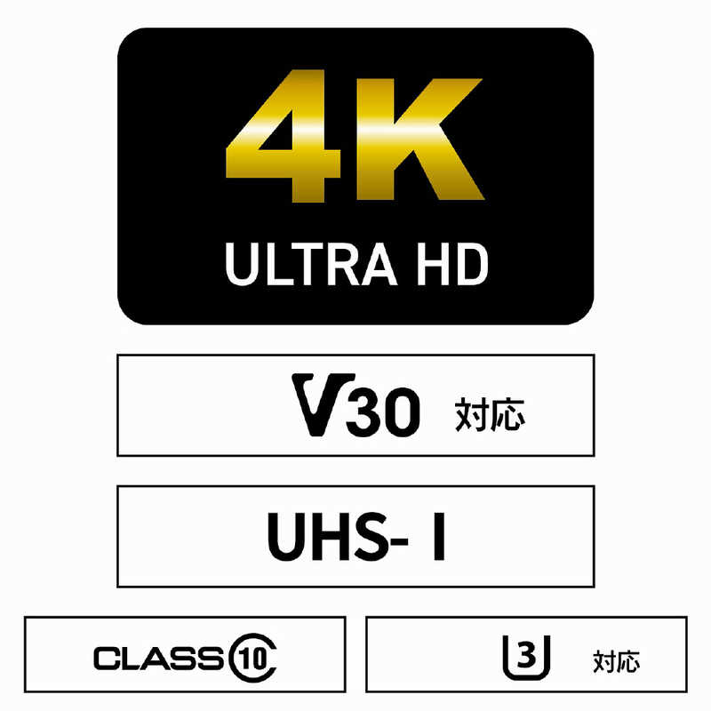 ARCHISS アーキス ARCHISS アーキス Professional microSDHC 32GB Class10 UHS-1 (U3) V30 A1対応 SD変換アダプタ付属 ［Class10 /32GB］ AS-032GMS-PV3 AS-032GMS-PV3